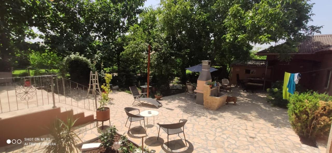 Casa Magnolia Hotel Douăzeci şi Trei August Exterior foto